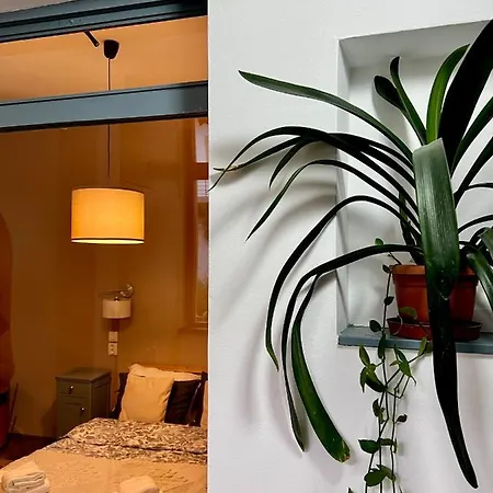 Prodan Apartment Cluj-Napoca